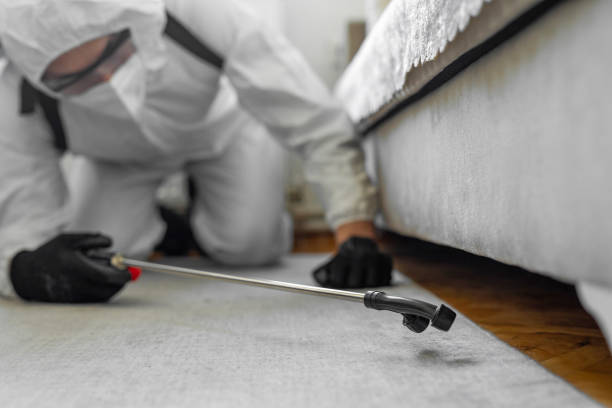 Professional Termite Control technician working in Bel-Ridge, MO
